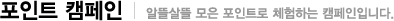 포인트켐페인